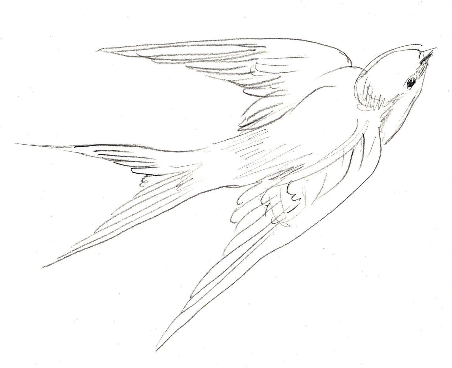 Original artwork sketch from Patchwork