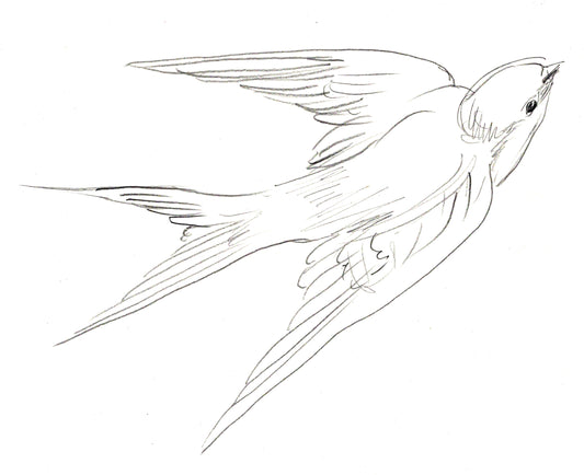 Original artwork sketch from Patchwork