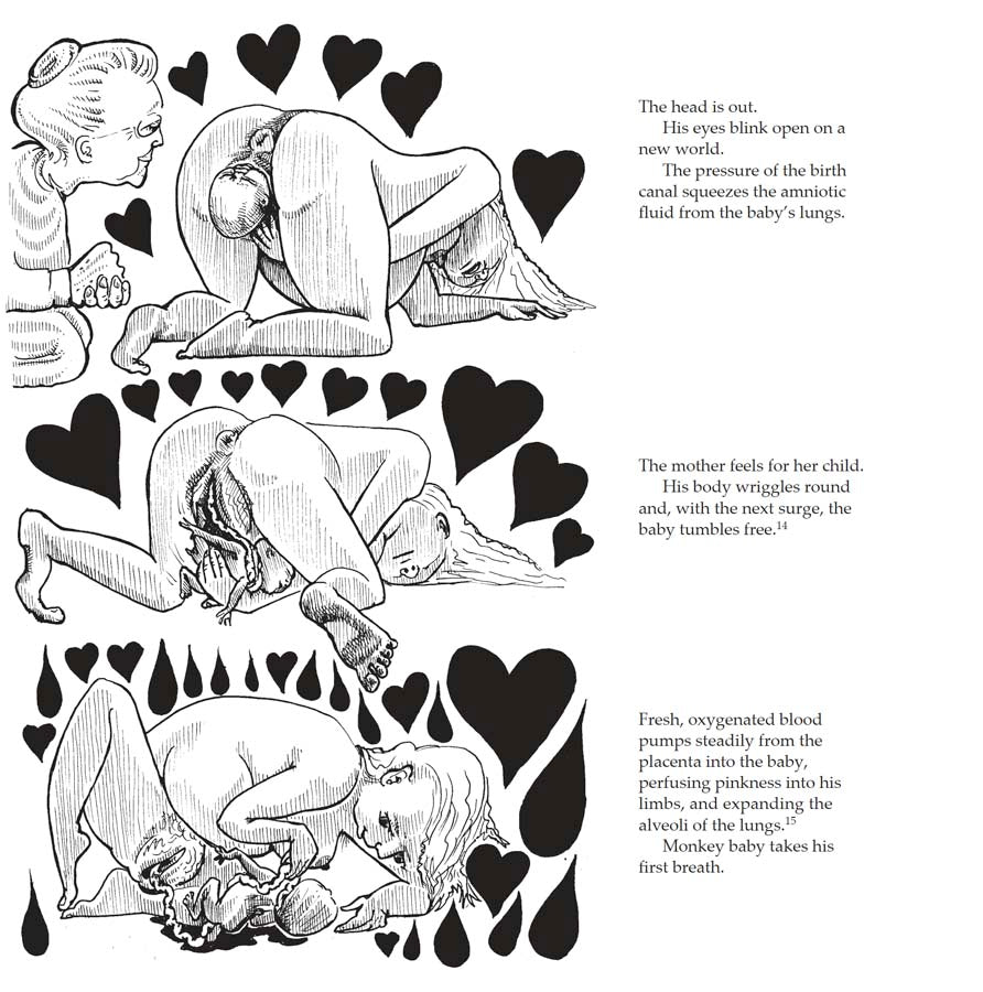 Bump: how to make, grow and birth a baby, book by Kate Evans, comic book character and text explaining the hormones and stages of physiological birth