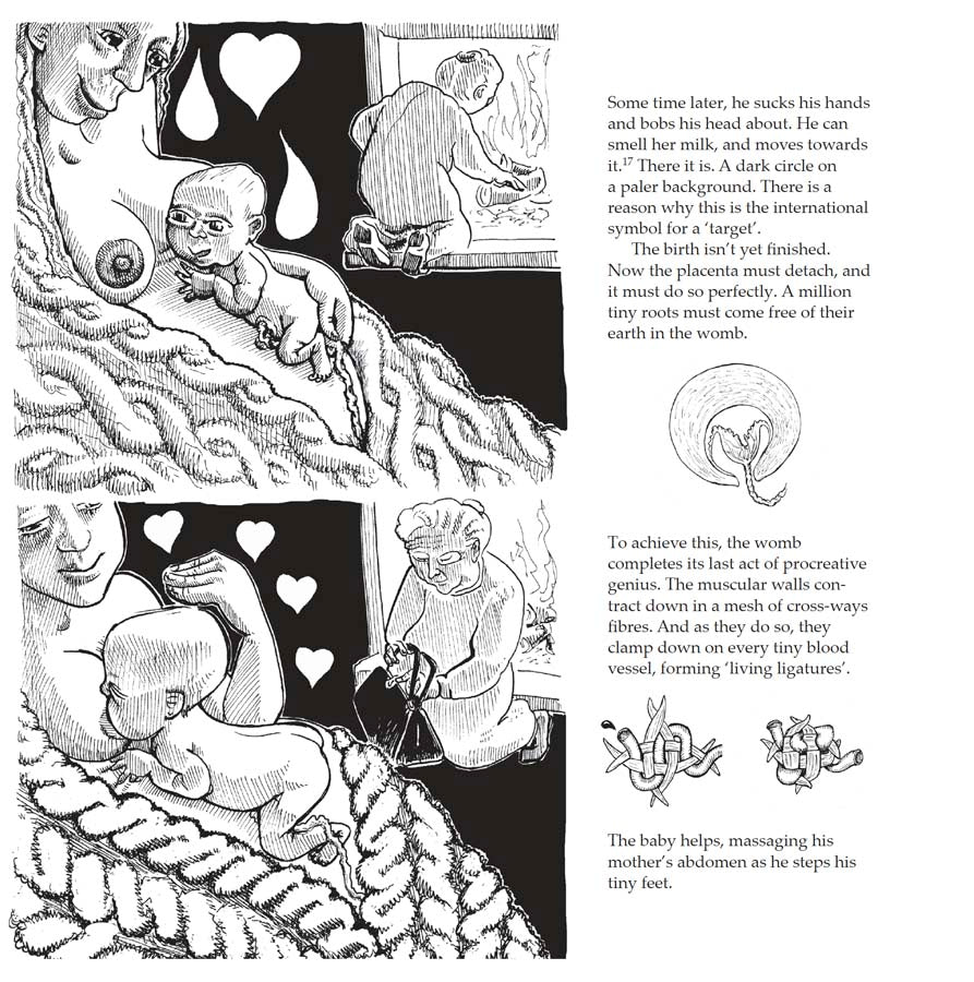 Bump: how to make, grow and birth a baby, book by Kate Evans, comic book character and text explaining the hormones and stages of physiological birth