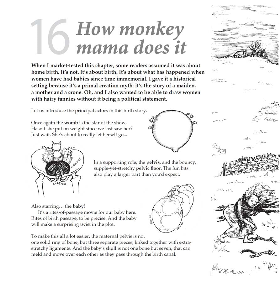 Bump: how to make, grow and birth a baby, book by Kate Evans, comic book character and text explaining the hormones and stages of physiological birth