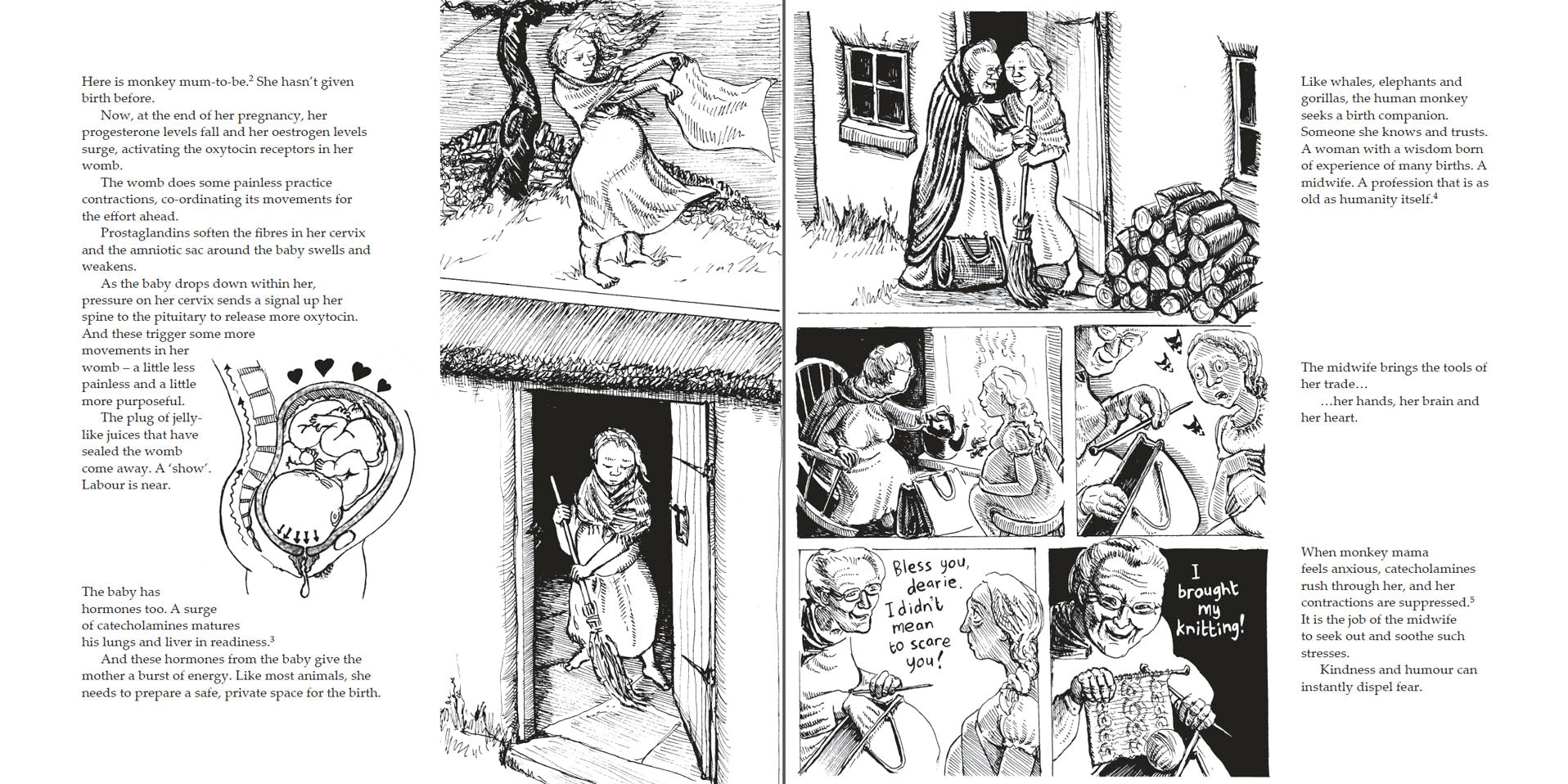 Bump: how to make, grow and birth a baby, book by Kate Evans, comic book character and text explaining the hormones and stages of physiological birth