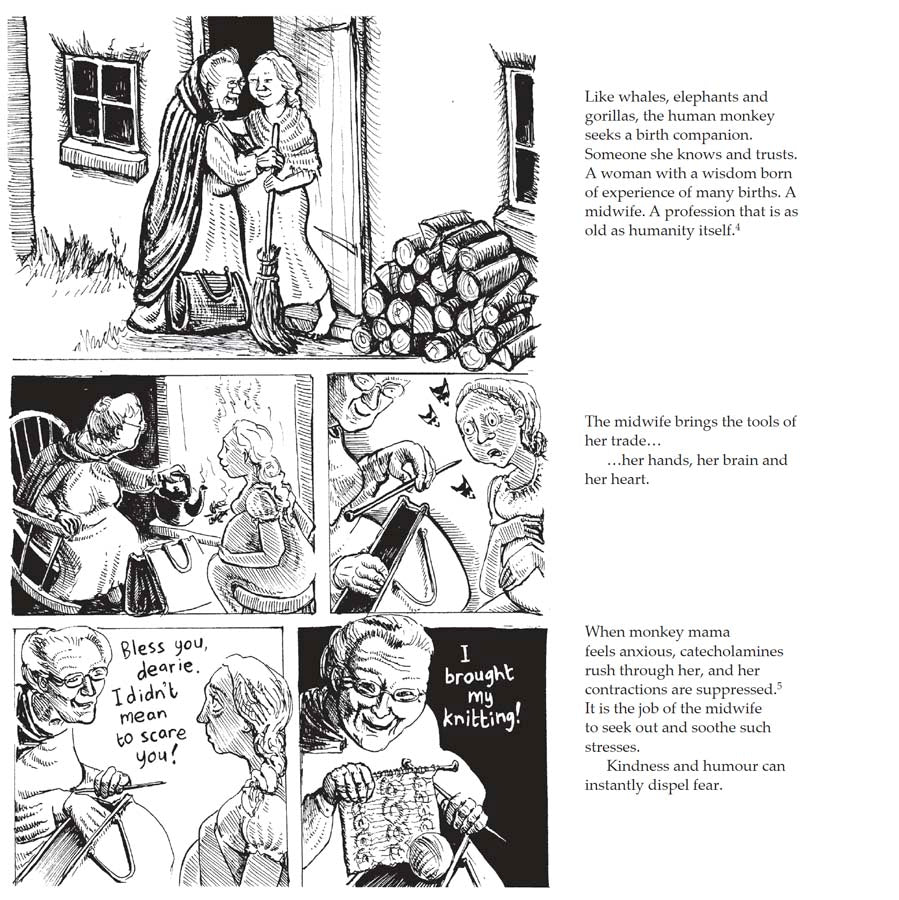 Bump: how to make, grow and birth a baby, book by Kate Evans, comic book character and text explaining the hormones and stages of physiological birth