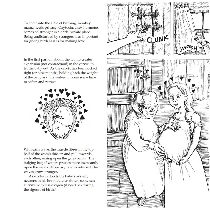 Bump: how to make, grow and birth a baby, book by Kate Evans, comic book character and text explaining the hormones and stages of physiological birth