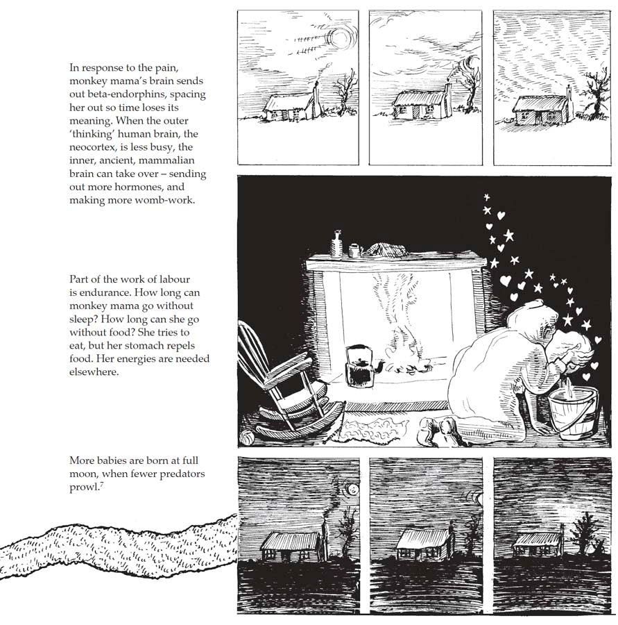 Bump: how to make, grow and birth a baby, book by Kate Evans, comic book character and text explaining the hormones and stages of physiological birth