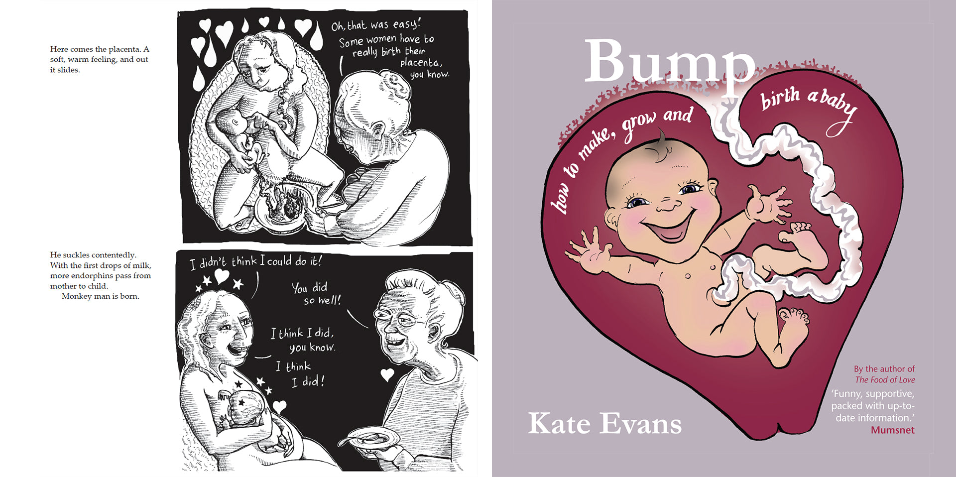 Bump: how to make, grow and birth a baby, book by Kate Evans, comic book character and text explaining the hormones and stages of physiological birth
