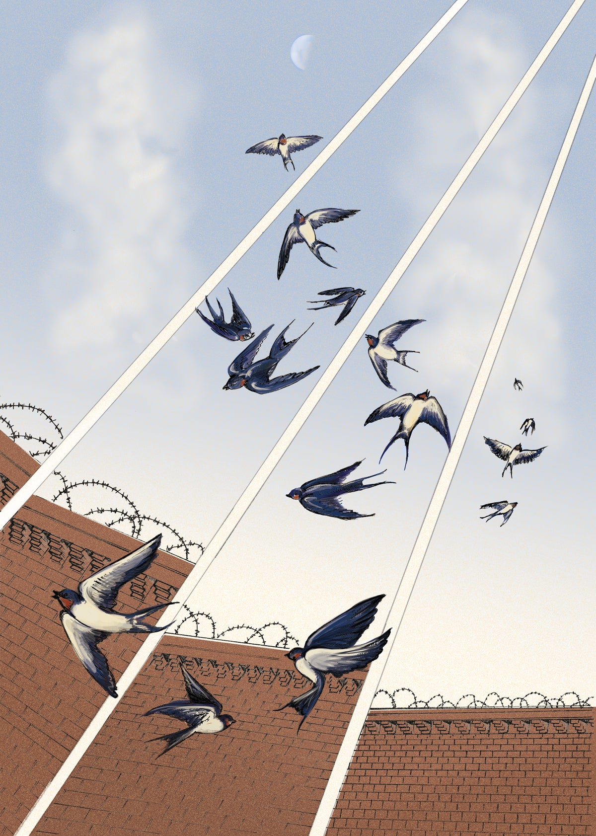 Swallows in flight, from the book Red Rosa: a graphic biography of Rosa Luxemburg by Kate Evans