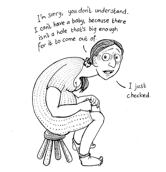 Bump: how to make, grow and birth a baby