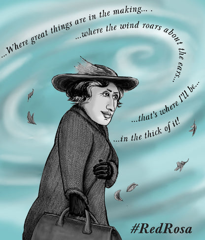 Red Rosa: a graphic biography of Rosa Luxemburg